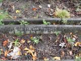 image of grave number 314030